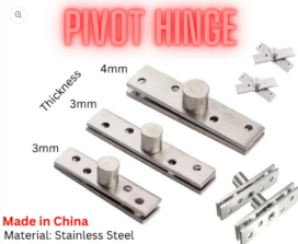 Stainless Steel Pivot Door Hinge